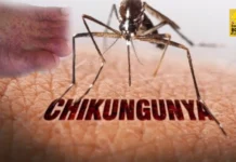 Kaso sang Chikungunya sa bilog nga kalibutan, nagasaka Kaso sang Chikungunya sa bilog nga kalibutan, nagasaka