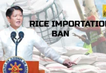Rice importation ban, plano nga batakon sang Marcos Administration sa Enero 2026 Rice importation ban, plano nga batakon sang Marcos Administration sa Enero 2026