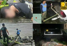 3 patay matapos malumos sa San Carlos City, kadungan sa paglaslas sang Bagyo TINO kahapon 3 patay matapos malumos sa San Carlos City, kadungan sa paglaslas sang Bagyo TINO kahapon