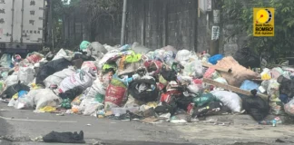 Pagdakop sa mga naga-illegal dumping sa ciudad sang Bacolod, iimplementa na sa Pebrero