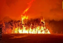 Lapnagon nga bushfire sa Australia posible nga magdugay pa tubtob sa masunod nga mga semana Lapnagon nga bushfire sa Australia posible nga magdugay pa tubtob sa masunod nga mga semana