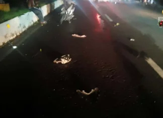 6 ka soltero, pilason matapos maaksidente ang duha ka motorsiklo sa Araneta Street, Brgy Tangub, Bacolod City 6 ka soltero, pilason matapos maaksidente ang duha ka motorsiklo sa Araneta Street, Brgy Tangub, Bacolod City
