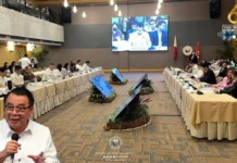 Pagkaso sa mga involved sa budget insertions, dapat mag-umpisa sa miyembro sang Bicam