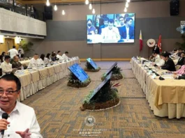 Pagkaso sa mga involved sa budget insertions, dapat mag-umpisa sa miyembro sang Bicam
