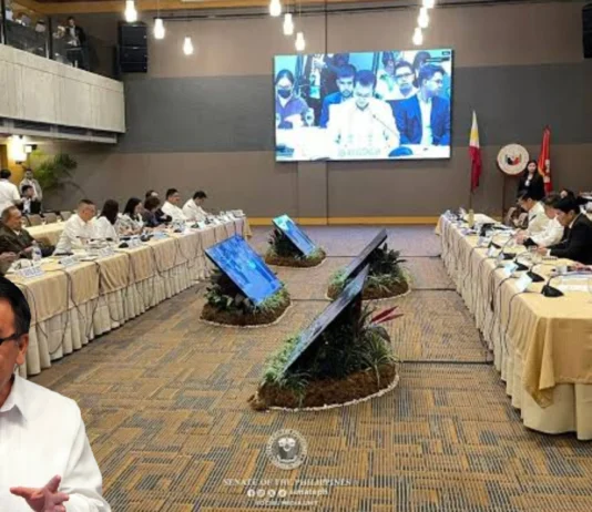 Pagkaso sa mga involved sa budget insertions, dapat mag-umpisa sa miyembro sang Bicam