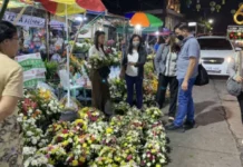 Vendor sang bulak kag kandila para sa UNDAS 2026 sa Bacolod City, ginhatagan na sang special permit