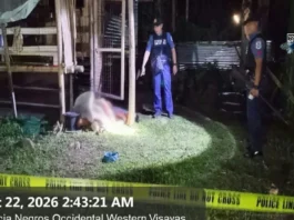 Caretaker sang manokan, patay sa pagpamuno sa banwa sang Murcia