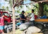 Duha ka suspect sa Sta Catalina Shooting, natigayun nga maaresto; Pagpangluthang, nagresulta sa isa patay, isa pilason, kag isa nga missing