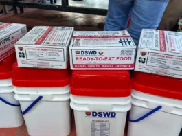 DSWD, preparado na nga magpadala sang ayudad sa mga komunidad nga mahimo maapektuhan sa pagsulod sang Super Typhoon Champi sa Pilipinas