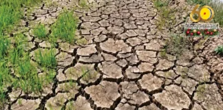 Deklarasyon sang National State of Calamity sa mahimo halit sang Super El Niño, suportado ni Negros Occidental Governor Bong Lacson