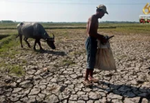 Mangin kapierdihan sang Pilipinas sa agrikultura bangod sa El Niña, ginakahangaw-an nga magdangat sa balor P20 billion