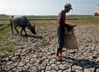 Kahalitan sang El Niño sa sektor sang agrikultura, nagdangat na sa balor P8.57 billion