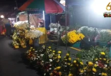 “No permit, No Vending” policy, estrikto nga ipatuman sa Bacolod City subong nga tigkalalag