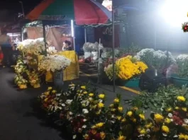 “No permit, No Vending” policy, estrikto nga ipatuman sa Bacolod City subong nga tigkalalag