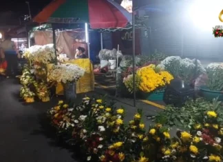 “No permit, No Vending” policy, estrikto nga ipatuman sa Bacolod City subong nga tigkalalag “No permit, No Vending” policy, estrikto nga ipatuman sa Bacolod City subong nga tigkalalag