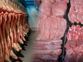 Pagbalik sang 40 percent nga taripa sa imported nga baboy, ginaduso kadungan sa duha ka bulan nga import holiday