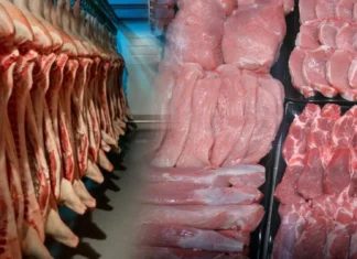 Pagbalik sang 40 percent nga taripa sa imported nga baboy, ginaduso kadungan sa duha ka bulan nga import holiday Pagbalik sang 40 percent nga taripa sa imported nga baboy, ginaduso kadungan sa duha ka bulan nga import holiday