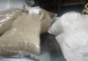 Presyo sang kalamay, nagnubo antes ang tigkalalag
