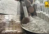 Pagdagsa sang bumalakal sang mga gata, pilit, kag kalamay para sa tigkalalag, ginalauman sang mga market vendor nga magasugod sa Oktubre 30 tubtob Nobyembre 1