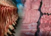Presyo sang karne sang baboy, maganubo kasunod sang pag-import sang dako nga volume sang mais nga ginagamit sa paghimo sang feeds — DA Presyo sang karne sang baboy, maganubo kasunod sang pag-import sang dako nga volume sang mais nga ginagamit sa paghimo sang feeds — DA