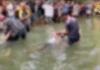 Mangunguma, nalumos matapos magpadugay-dugay sang salom bilang trial by ordeal agud solusyunan ang agaway sa duta Mangunguma, nalumos matapos magpadugay-dugay sang salom bilang trial by ordeal agud solusyunan ang agaway sa duta