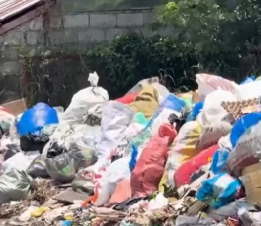 No Segregation, No Collection policy sa mga basura sa Brgy Handumanan, welcome development para kay Bacolod City Mayor Greg Gasataya