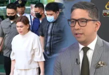 Marcos Administration, gin-akusaran ni VP Sara spokesman Atty Paolo Panelo nga ginagamit ang government institutions sa political persecution