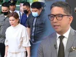 Marcos Administration, gin-akusaran ni VP Sara spokesman Atty Paolo Panelo nga ginagamit ang government institutions sa political persecution