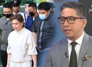 Marcos Administration, gin-akusaran ni VP Sara spokesman Atty Paolo Panelo nga ginagamit ang government institutions sa political persecution