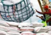 Pilipinas, naka-import na sang masobra 4 million metric tons sang bugas subong nga 2026