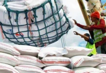 Pilipinas, naka-import na sang masobra 4 million metric tons sang bugas subong nga 2026