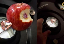 Rare nga Pink Diamond sa France, natalana nga idisplay sa pubic