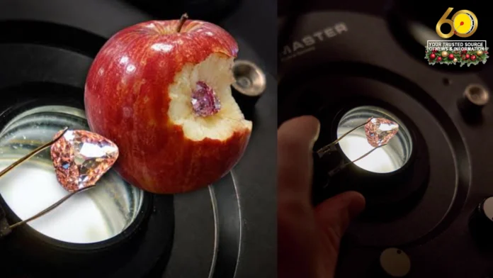 Rare nga Pink Diamond sa France, natalana nga idisplay sa pubic Rare nga Pink Diamond sa France, natalana nga idisplay sa pubic