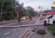 Concrete nga poste sang Negros Power sa Brgy Granada, natumba matapos mabungguan sang pickup