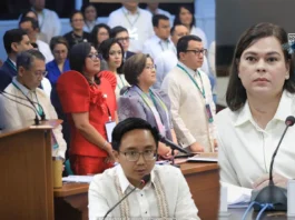 Former Kabataan Partylist Rep. Raoul Manuel, dismayado sa pagwithdraw sang tatlo ka articles of impeachment batok kay VP Sara