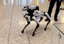 Kompanya, nagatanyag sang sweldo nga kapin P1,200 sa apat ka oras nga pagtrabaho bilang dog walkers, apang sa mga ido nga robot