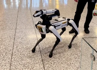Kompanya, nagatanyag sang sweldo nga kapin P1,200 sa apat ka oras nga pagtrabaho bilang dog walkers, apang sa mga ido nga robot Kompanya, nagatanyag sang sweldo nga kapin P1,200 sa apat ka oras nga pagtrabaho bilang dog walkers, apang sa mga ido nga robot