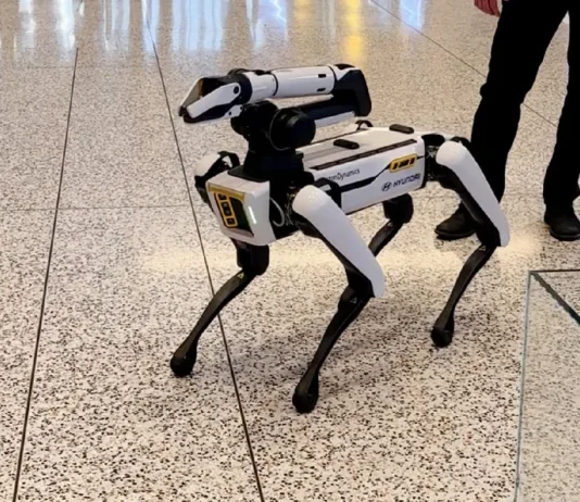 Kompanya, nagatanyag sang sweldo nga kapin P1,200 sa apat ka oras nga pagtrabaho bilang dog walkers, apang sa mga ido nga robot