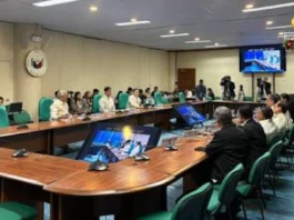 Proposed 2027 budget, buhinan sang Senado sang P2 billion