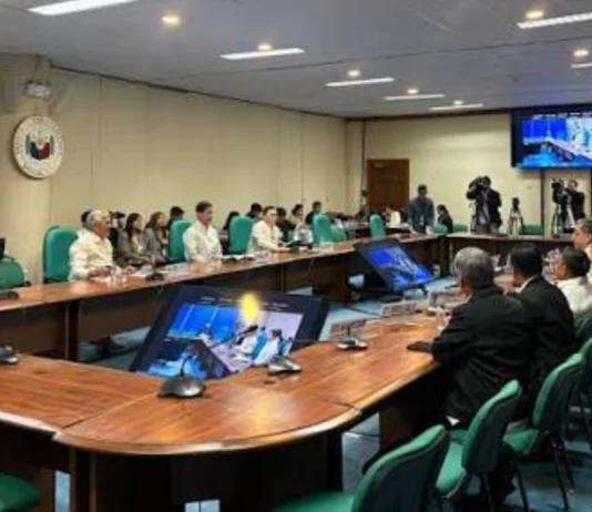 Proposed 2027 budget, buhinan sang Senado sang P2 billion