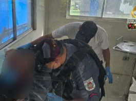 63-anyos nga babayi ginlampusan sang kahoy sa ciudad sang Kabankalan, patay