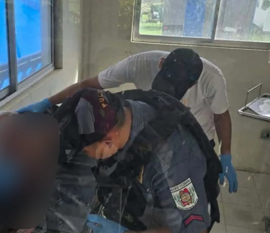 63-anyos nga babayi ginlampusan sang kahoy sa ciudad sang Kabankalan, patay