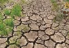 National Irrigation Authority – Negros Occidental, preparado sa Super El Niño National Irrigation Authority – Negros Occidental, preparado sa Super El Niño