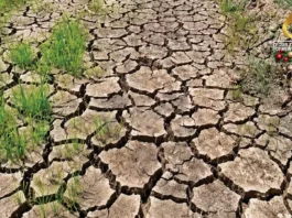 National Irrigation Authority – Negros Occidental, preparado sa Super El Niño