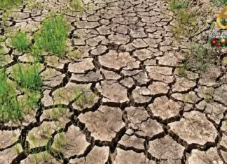 National Irrigation Authority – Negros Occidental, preparado sa Super El Niño