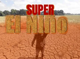 Maapektuhan sang El Niño halin Nobyembro tubtob 1st quarter sang 2027, ginalantaw nga magaapekto sa 12 ka lugar