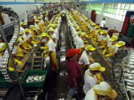 Minimum wage sa Western Visayas lakip na sa Negros Occidental kag Bacolod City, magasaka na