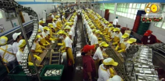 Minimum wage sa Western Visayas lakip na sa Negros Occidental kag Bacolod City, magasaka na
