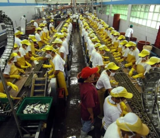 Minimum wage sa Western Visayas lakip na sa Negros Occidental kag Bacolod City, magasaka na