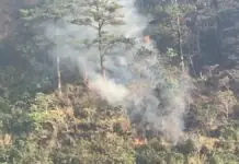 Lawak ng kagubatan na nasunog sa rehiyon Cordillera, umakyat na sa isang libong ektarya; iba’t-ibang ahensiya ng gobyerno at pribadong sektor, patuloy ang kanilang pagresponde